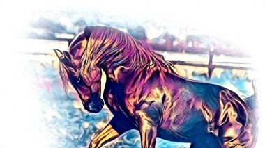 serbest el at baş karakalem