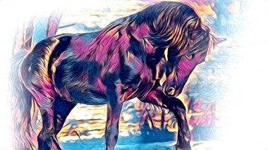 serbest el at baş karakalem