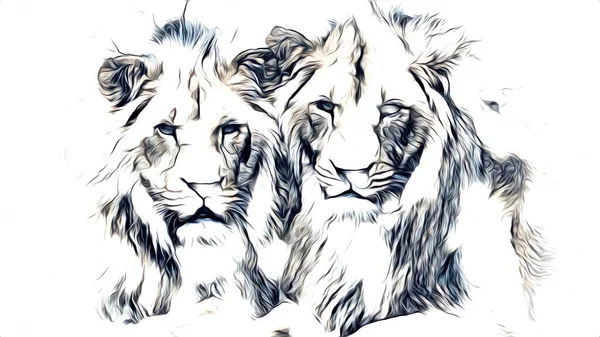 Lion Art Illustration Ritning — Stockfoto