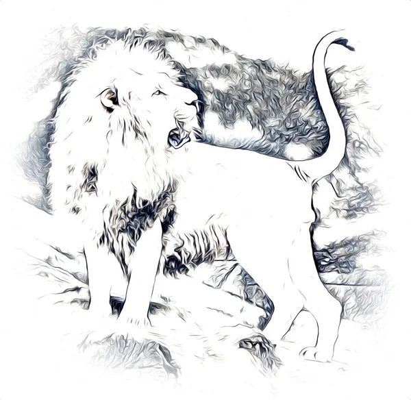 Εικονογράφηση Art Λιοντάρι Σχέδιο — Φωτογραφία Αρχείου