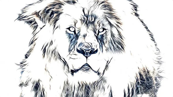 Lion Umění Ilustrace Kresba — Stock fotografie