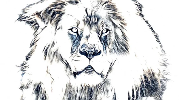 Lion Art Illustration Drawing — Stock Photo, Image