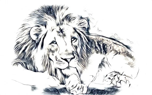 Lion Umění Ilustrace Kresba — Stock fotografie