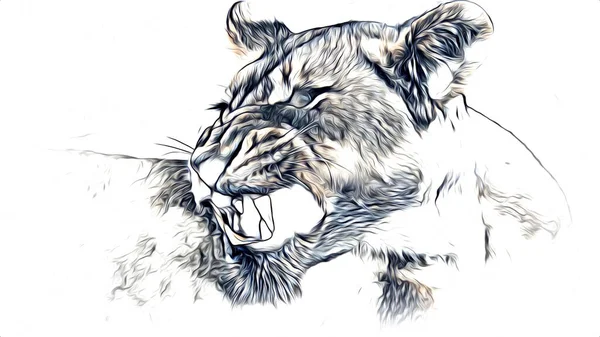 Lion Art Illustration Drawing — Stock Photo, Image