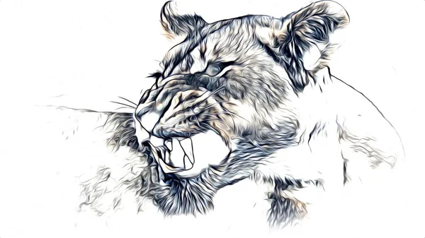 lion art illustration drawing