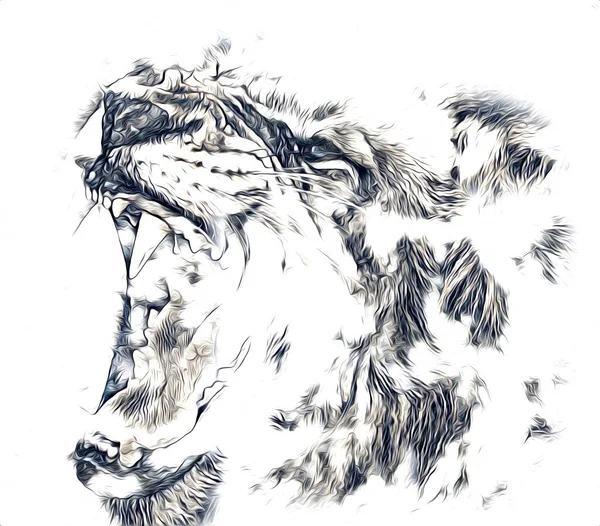 Рисунок Льва — стоковое фото