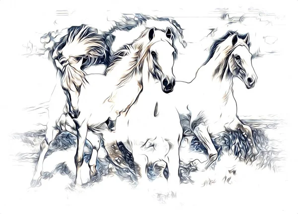 Disegno Matita Testa Cavallo Mano Libera — Foto Stock