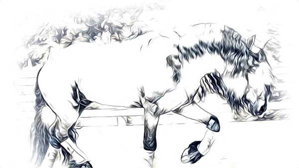 Dibujo Mano Alzada Cabeza Caballo Lápiz —  Fotos de Stock