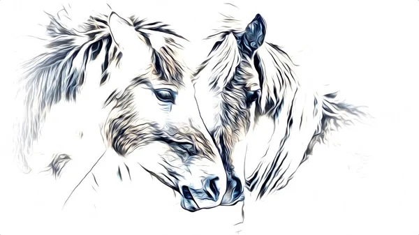 Disegno Matita Testa Cavallo Mano Libera — Foto Stock