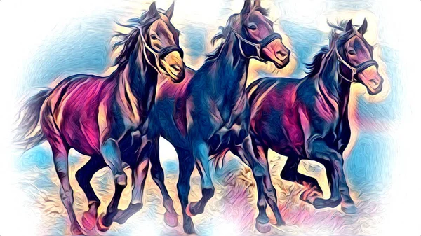 Disegno Matita Testa Cavallo Mano Libera — Foto Stock