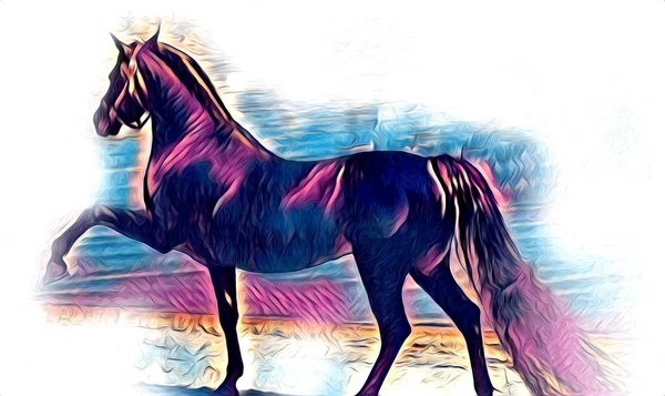 Disegno Matita Testa Cavallo Mano Libera — Foto Stock