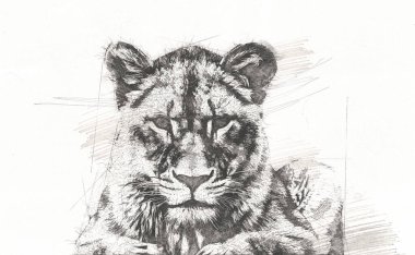 Aslan sanat çizim çizim