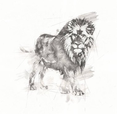 Aslan sanat çizim çizim