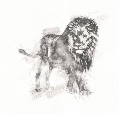 Aslan sanat çizim çizim