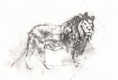 Aslan sanat çizim çizim