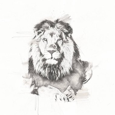 Aslan sanat çizim çizim