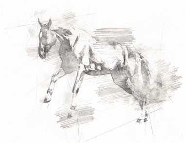 serbest el at baş karakalem