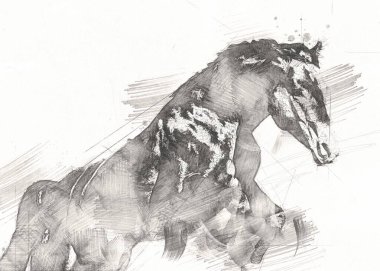 serbest el at baş karakalem