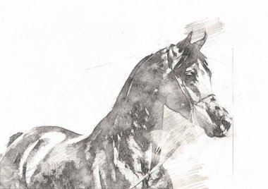 serbest el at baş karakalem