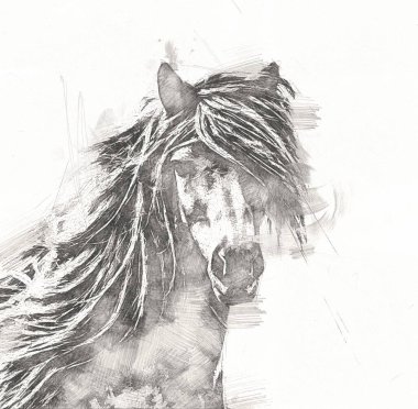 serbest el at baş karakalem