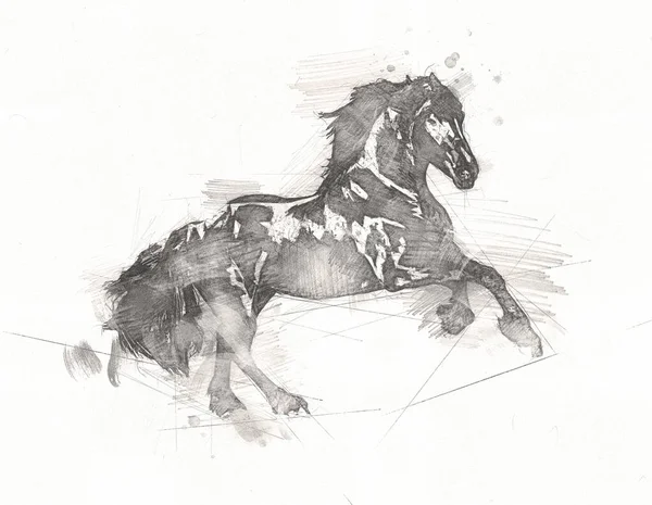 Tête Cheval Main Levée Dessin Crayon — Photo