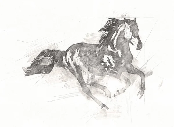 Tête Cheval Main Levée Dessin Crayon — Photo