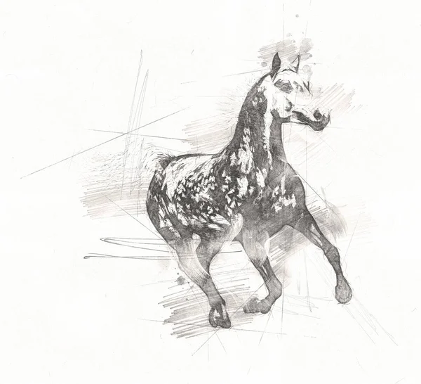 Tête Cheval Main Levée Dessin Crayon — Photo