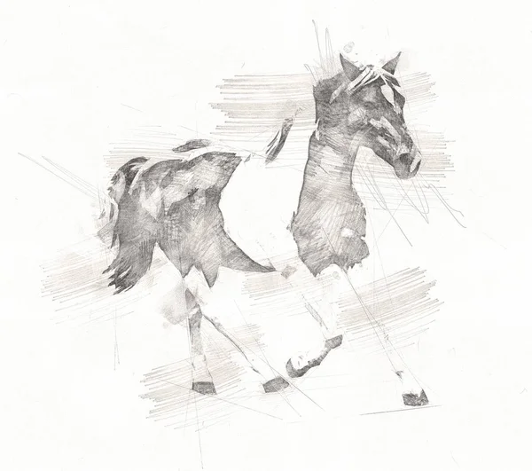 Freehand Paard Hoofd Potlood Tekenen — Stockfoto