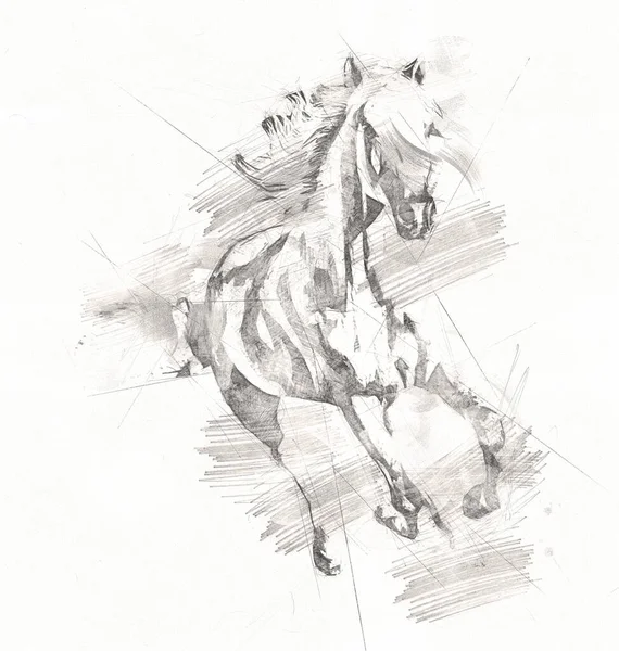 Disegno Matita Testa Cavallo Mano Libera — Foto Stock
