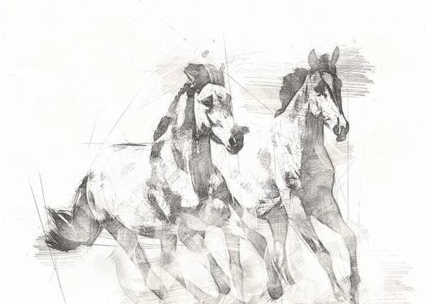 Tête Cheval Main Levée Dessin Crayon — Photo