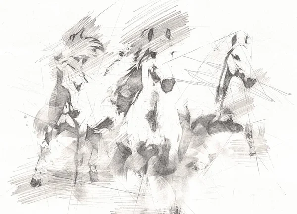 Tête Cheval Main Levée Dessin Crayon — Photo