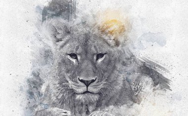 Aslan resimleri grunge vintage çiziyor