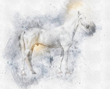 El yazması at başlı kalem çizim çizer grunge