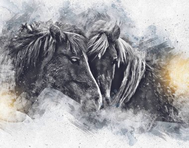 El yazması at başlı kalem çizim çizer grunge