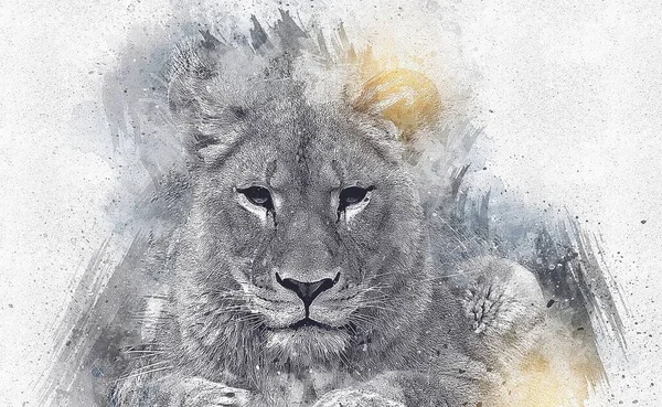 Lion Art Illustration Drawing Grunge Vintage — Stock Photo, Image