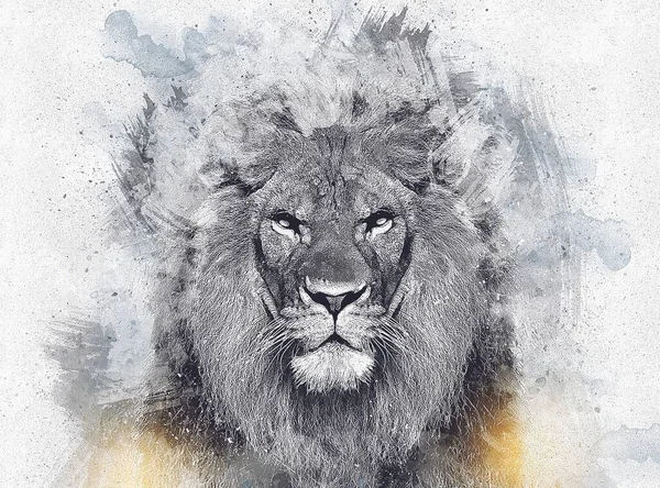Aslan resimleri grunge vintage çiziyor