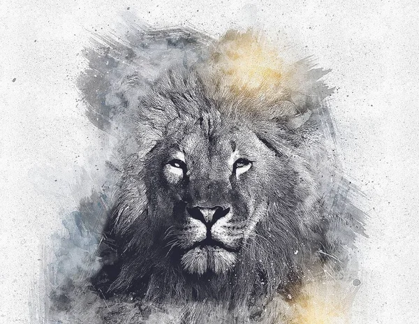 lion art illustration drawing grunge vintage