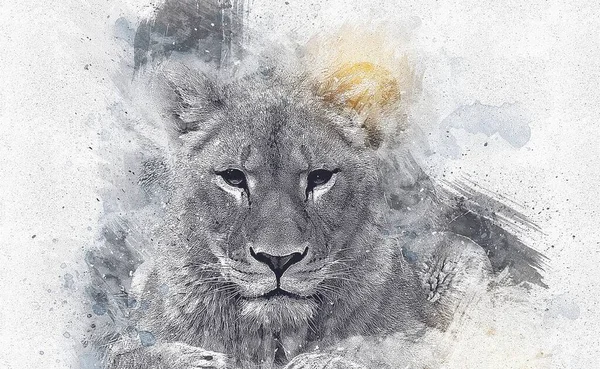 Lion Art Illustration Drawing Grunge Vintage — Stock Photo, Image