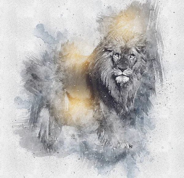 Lion Art Illustration Drawing Grunge Vintage — Stock Photo, Image