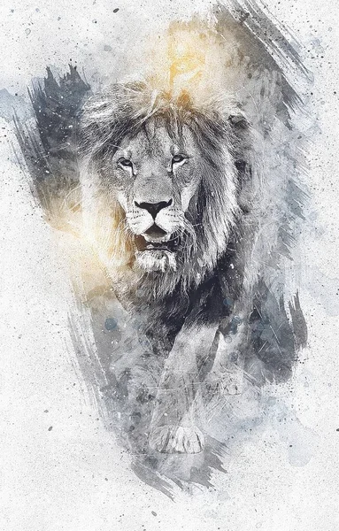 Lion Art Illustration Dessin Grunge Vintage — Photo