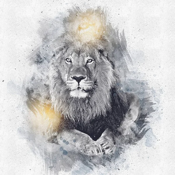 Lion Art Illustration Drawing Grunge Vintage Royalty Free Stock Images