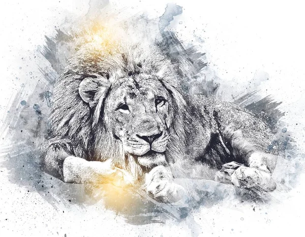 lion art illustration drawing grunge vintage