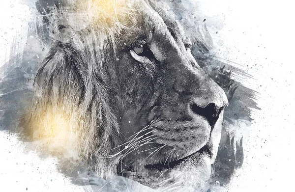 lion art illustration drawing grunge vintage