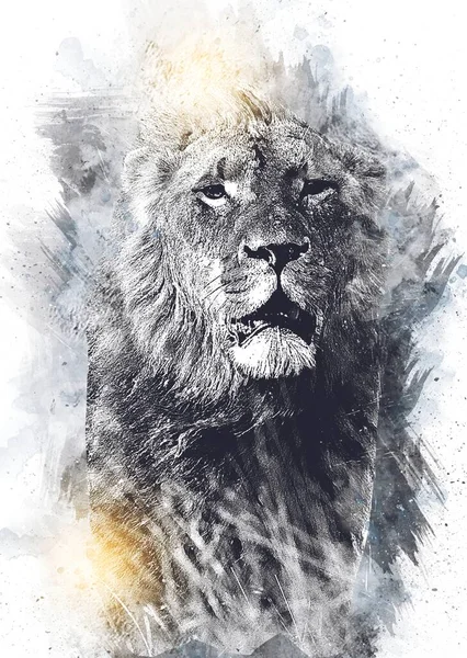 lion art illustration drawing grunge vintage