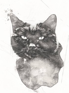 Kedi çizimi sanat eseri antika