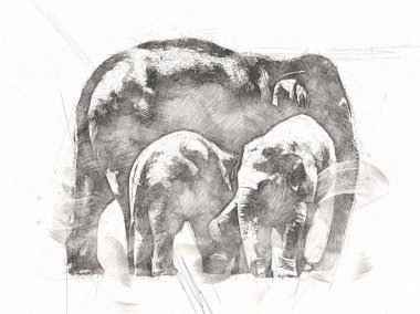 Kalem sanatı çiziminden fil çizimi