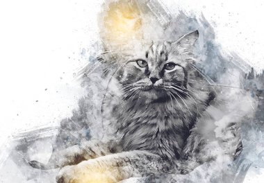 Kedi çizimi sanat eseri antika