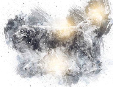 Köpek çizimi eski antika sanat eserleri