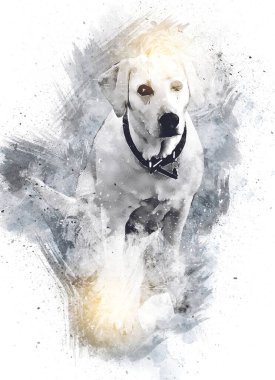 Köpek çizimi eski antika sanat eserleri