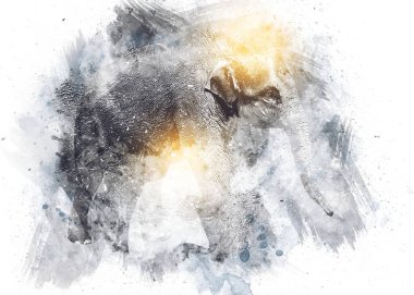 Fil sanatı illüstrasyonu eski moda.